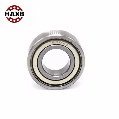 Motor Bearings