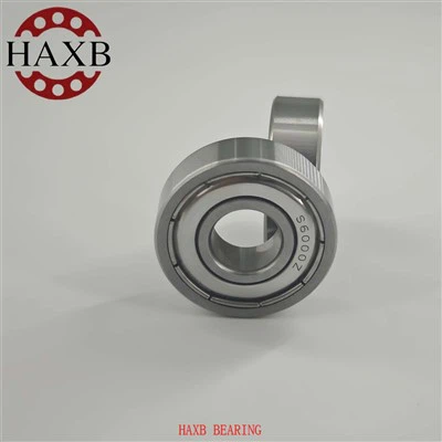 SS6000ZZ Deep Groove Ball Bearings