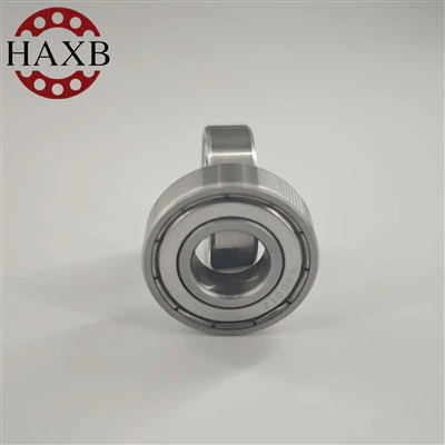 SS6001ZZ Deep Groove Ball Bearing