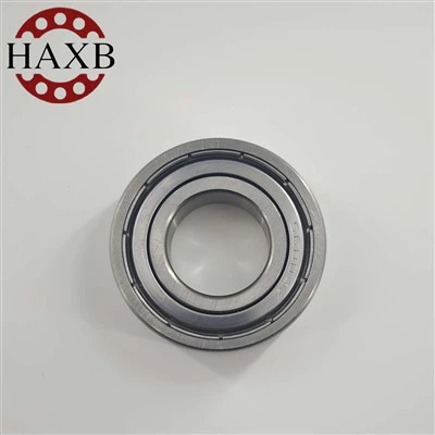 SS6004ZZ Deep Groove Ball Bearing